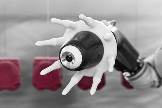 TOPFINISH RobotBell 1 ECH Wagner RBTshop 2